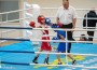 Страхотен интерес към Купата на България по бокс в Ботевград при най-малките