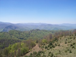 Поздравителен адрес