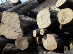 Установиха 1,5 кубика дърва за огрев без марка и документи в Литаково