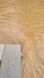 Проливният дъжд заля центъра и улици в Правец