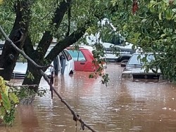 Около 100 са наводнените къщи във Врачеш /снимки/