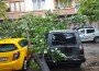 Силната буря нанесе щети на покрив, паднаха няколко дървета