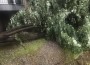 Силната буря нанесе щети на покрив, паднаха няколко дървета
