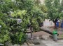 Силната буря нанесе щети на покрив, паднаха няколко дървета