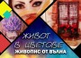 АНОНС: Изложба "Живот в цветове"