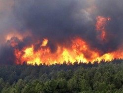 РСПБЗН - Етрополе и ТПДГС - Етрополе призовават всички да бъдат внимателни и да пазят горите от пожари