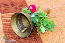 12 маломерни паралелки и една слята от новата учебна година в общинските училища 