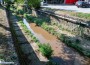 Почистват коритото на Стара река