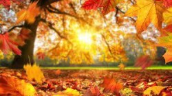 Астрономическата есен: Слънце и температури до 37 градуса
