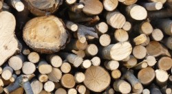 Откриха 4,5 кубика незаконна дървесина в частин дом в Литаково