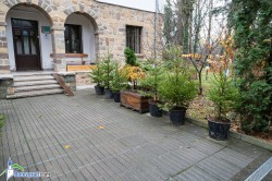 Започна продажбата на живи елхи в Горското