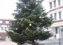 Грейна коледната елха в гр. Етрополе