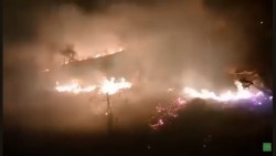 Пожарникари, горски лесничеи и граждани гасиха пожар в с. Оселна     