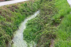 МОСВ разпореди проверки за почистване на речните легла и прилежащите им територии