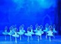 Балетът “Лебедово езеро” на ботевградска сцена