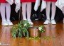 В ДГ „Славейче“ пресъздадоха обичаите, съпътстващи светлите християнски празници Лазаровден и Цветница