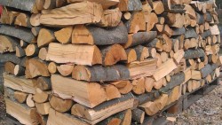 И тази година Община Ботевград ще приема заявления за дърва за огрев
