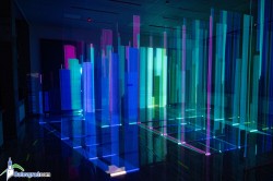 Дигитална инсталация „Гора“ в залата за съвременно изкуство „Хетеротопии“