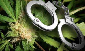 32-годишен е задържан при полицейска акция срещу наркоразпространението