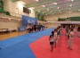 Големият треньор по олимпийско таекуондо Драган Йович откри камп и семинар в Ботевград