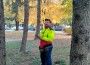 Арборист изследва дърветата в едно от междублоковите пространства в Ботевград