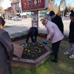 От организацията на онкоболните “Сила на духа“ засадиха цветя в Алея на надеждата