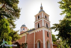 Водосвет за здраве за живеещите в чужбина