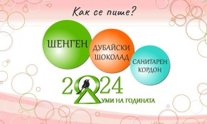 Шенген, дубайски шоколад и санитарен кордон са думите на 2024-та