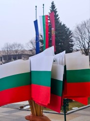 Община Правец раздаде малки трибагреници по случай Националния празник