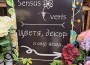 Оригинални предложения за подаръци в Sensus veris - Ботевград