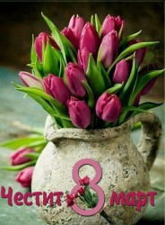 Днес е Международният ден на жената