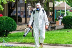 На 25 април третират зелените площи в община Ботевград срещу кърлежи