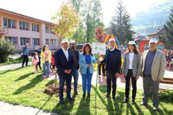 Засадиха 56 дървестни видове по инициативата „Нашето зелено утре“