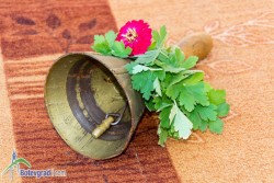 Кандидатстването за прием в първи клас ще става само през електронната система: https://ou.botevgrad.bg/