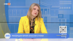 Рекорден брой заловени опасни стоки в ЕС през последната година