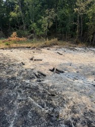 Благодарение на бързата намеса на доброволци е овладян пожарът в землището на Липница