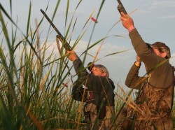 Ловният сезон за пернат дивеч започва в събота при стриктни мерки