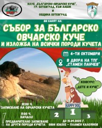 Ботевград е домакин на Събор за българско овчарско куче и изложба на всички породи кучета
