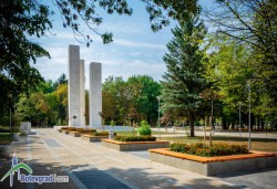 Нападнаха деца в градския парк