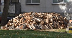 Mерки за почистване на фракции и дърва от улици и тротоари в община Етрополе