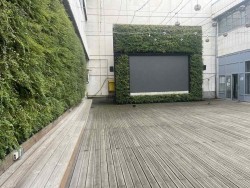 Финалът на световното по волейбол - на видеостената до ОП "Туризъм"