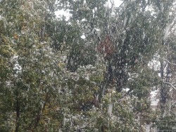 БКС е готово с организацията за зимното почистване