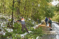 Доброволците от Елаците-Мед АД – пример за съпричастност в действие