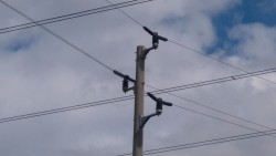 Дете е с тежки изгаряния и опасност за живота след токов удар