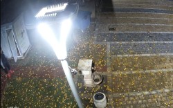 Установени са извършителите на вандалска проява в градския парк