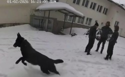 По досъдебното производство за случая Петрохан са налице свидетелски показания за сексуални контакти с малолетни и непълнолетни лица