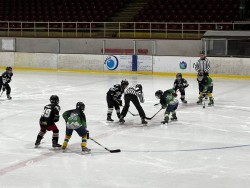 Петима  хокеисти на Балкан в националния отбор на България