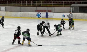 Петима  хокеисти на Балкан в националния отбор на България