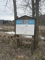 Поход до Жабешкото блато по повод Световния ден на водата