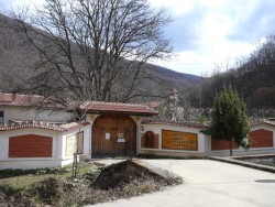 Съвместна инициатива на ДЛС Витиня и Кметство Врачеш – Ден на доброволеца в гората